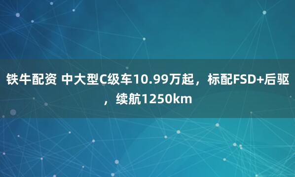 铁牛配资 中大型C级车10.99万起，标配FSD+后驱，续航1250km