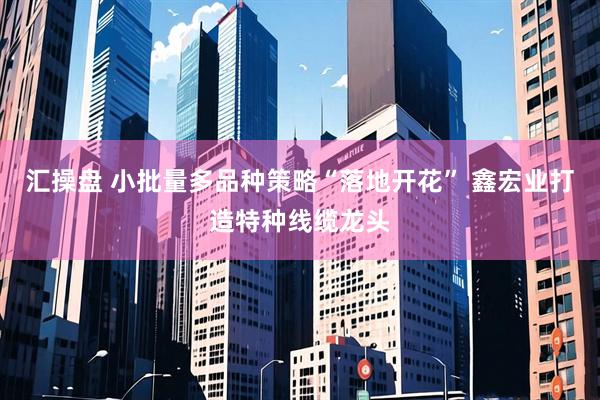汇操盘 小批量多品种策略“落地开花” 鑫宏业打造特种线缆龙头